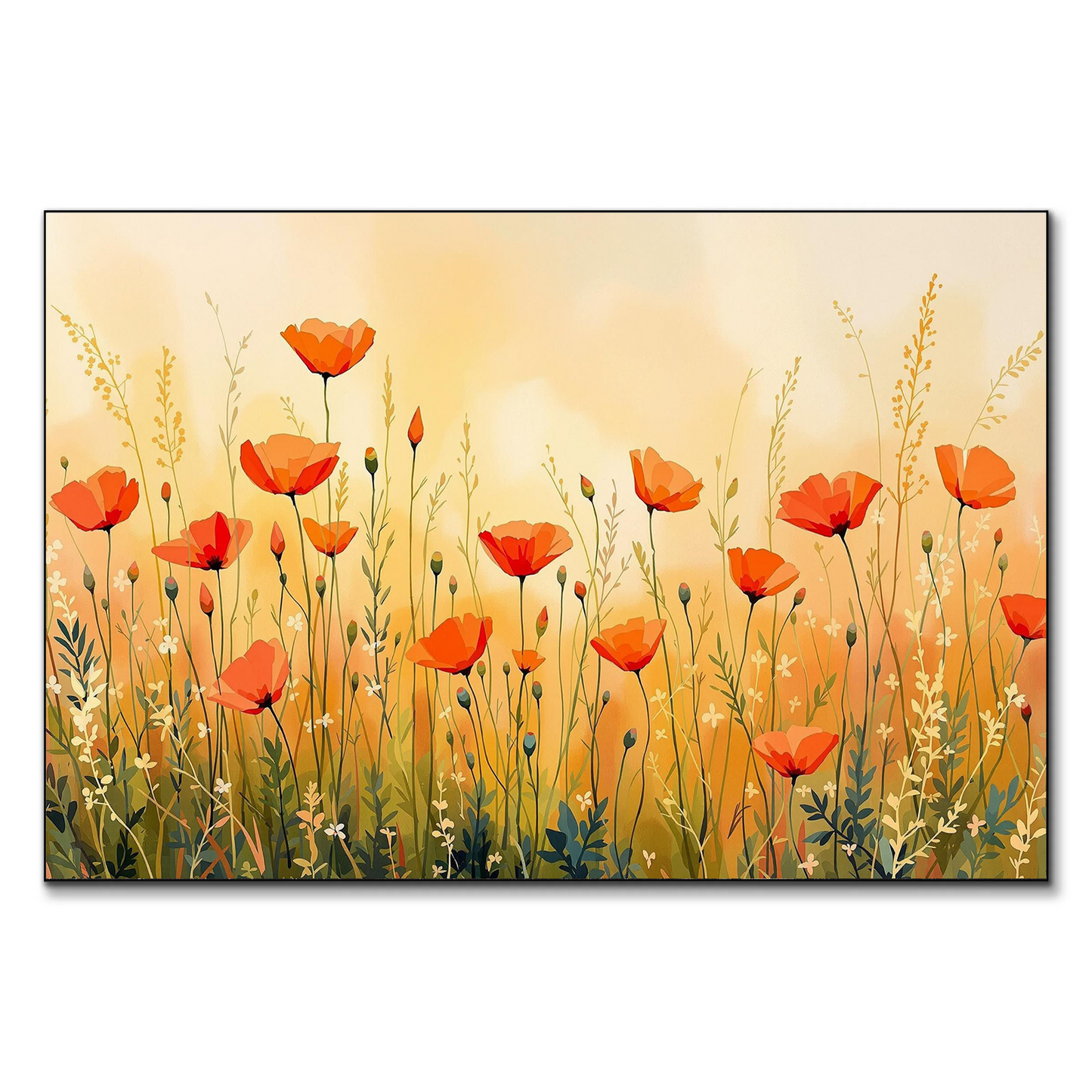 Field of Poppy Flowers